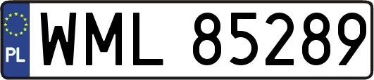 WML85289
