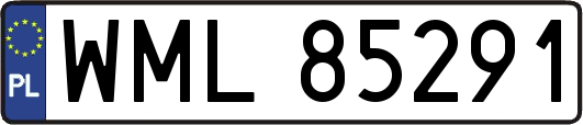 WML85291