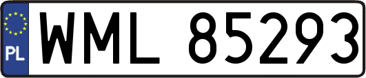 WML85293