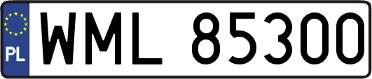 WML85300