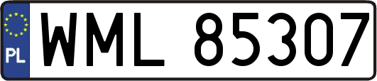 WML85307