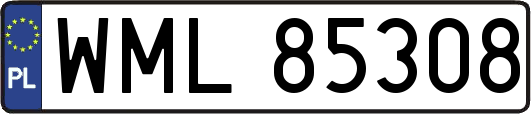 WML85308