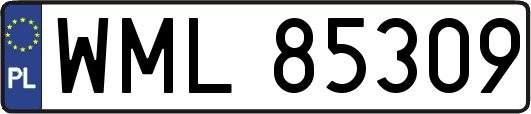 WML85309