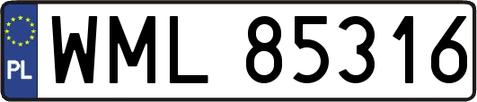 WML85316