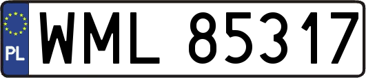 WML85317