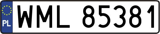 WML85381