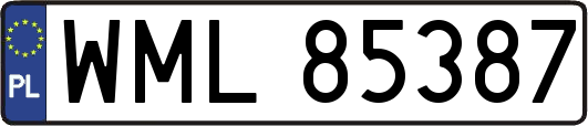 WML85387
