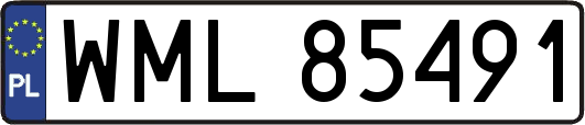 WML85491
