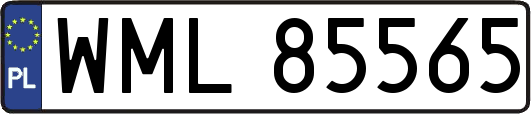 WML85565