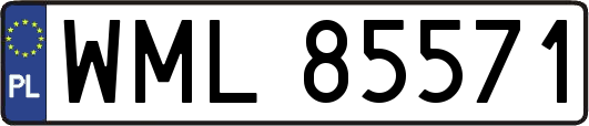 WML85571