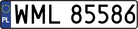 WML85586