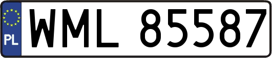 WML85587