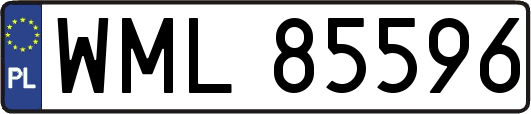 WML85596
