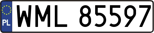 WML85597