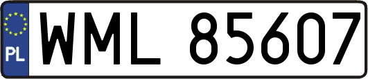 WML85607