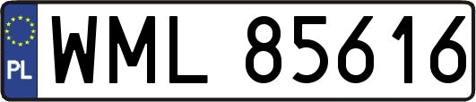 WML85616