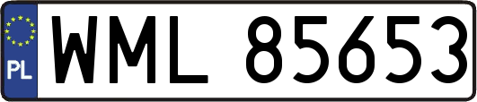 WML85653