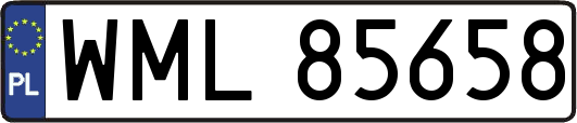 WML85658