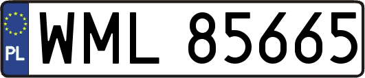 WML85665