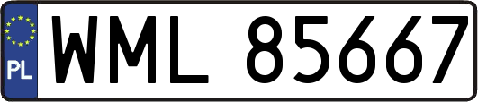 WML85667