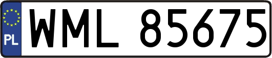 WML85675