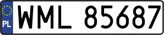WML85687