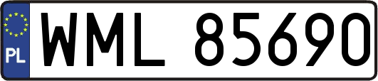 WML85690