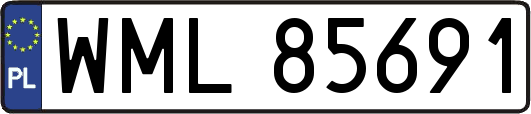 WML85691