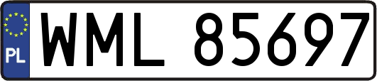 WML85697