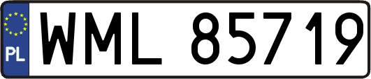 WML85719