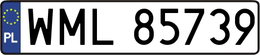 WML85739