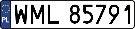 WML85791