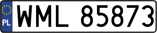 WML85873