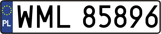 WML85896