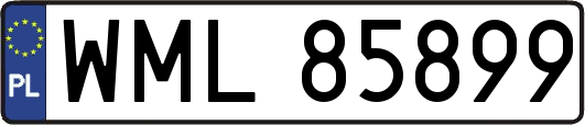 WML85899