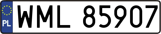 WML85907