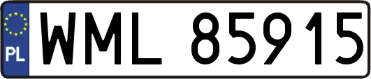 WML85915