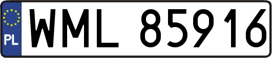 WML85916