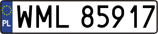 WML85917