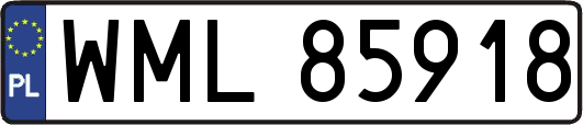 WML85918