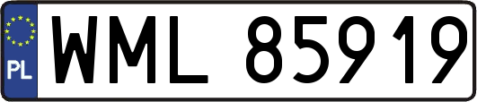 WML85919