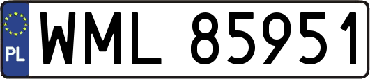 WML85951