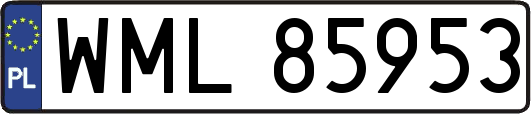 WML85953