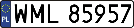 WML85957