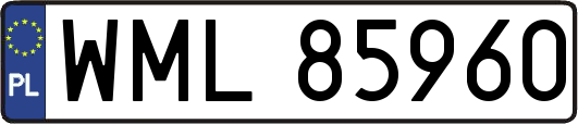 WML85960