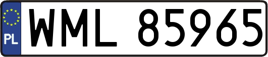 WML85965