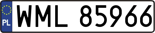 WML85966