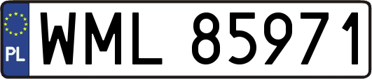 WML85971