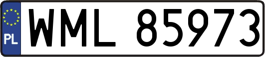 WML85973