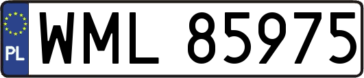 WML85975